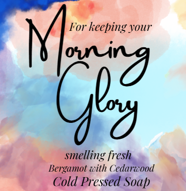 Morning Glory Cold Pressed Soap