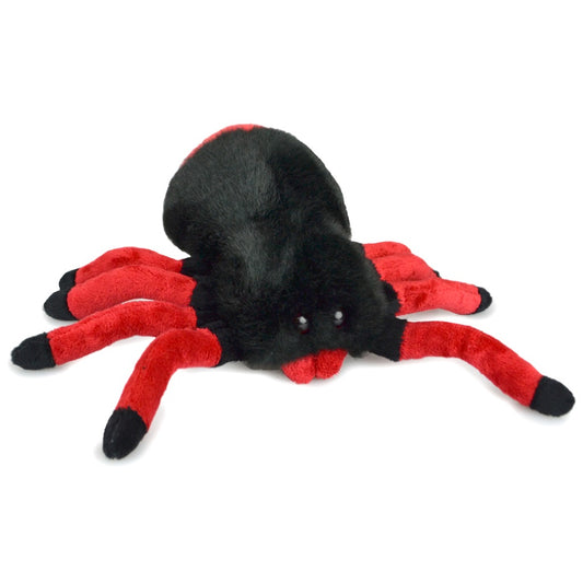 Redback Spider 18cm