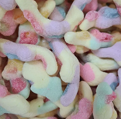 Sour Lizards Freeze Dried Lollies